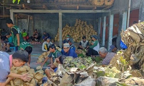 MTA Solo Pakai Besek dan Daun Jati untuk Bungkus Daging Kurban, Ini Tujuannya