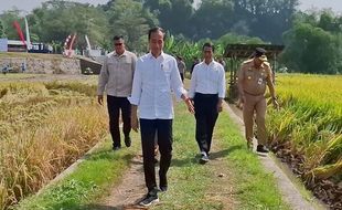 Kunjungi Karanganyar, Presiden Jokowi Bicara soal Target Produksi Padi Jateng