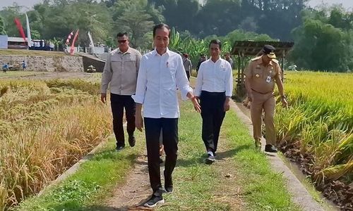 Kunjungi Karanganyar, Presiden Jokowi Bicara soal Target Produksi Padi Jateng