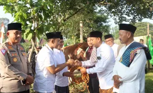 Banyak Warga Miskin, Wilayah Gesing Wonogiri Dapat Sapi Kurban Presiden Jokowi