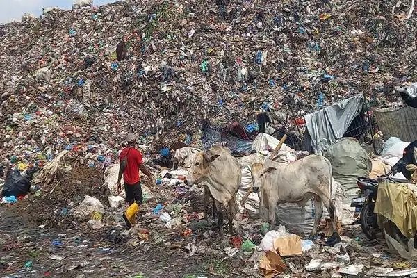Semarang Akhiri Open Dumping di TPA Jatibarang, Siapkan PSEL dan Landfill
