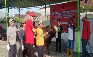 Puan Maharani Kurban Satu Ekor Sapi di Karanganyar 