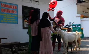 Nyentrik! Pemuda Larangan Sukoharjo Antar Kambing Kurban Pakai Kostum Spiderman