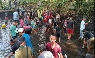 Unik! Tradisi Iriban Susukan Semarang, Warga Tangkap Ikan dengan Tangan Kosong