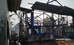 Peternakan di Madiun Terbakar Hebat, Sebanyak 40.000 Ekor Ayam Mati