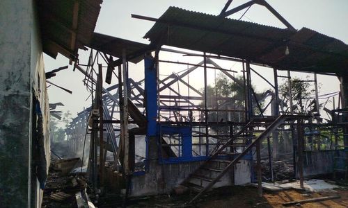 Peternakan di Madiun Terbakar Hebat, Sebanyak 40.000 Ekor Ayam Mati