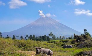 Status Gunung Semeru Turun dari Siaga ke Waspada, Ini Info Dibukanya Pendakian