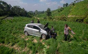 Kecelakaan Tunggal Mobil Ayla Masuk ke Ladang di Cepogo Boyolali