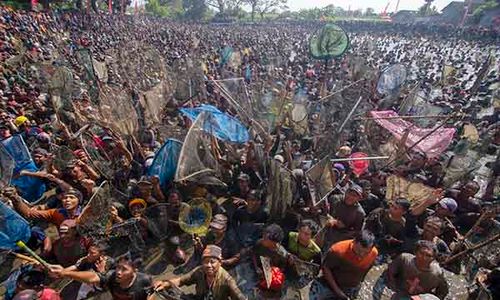 Ribuan Orang Berebut Ikan saat Tradisi Memet di Embung Gemblegan Klaten