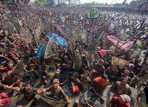 Ribuan Orang Berebut Ikan saat Tradisi Memet di Embung Gemblegan Klaten