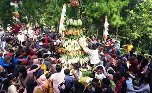 Semarak Ngrekso Bumi Desa Conto Wonogiri, Warga Rebutan Gunungan Hasil Bumi