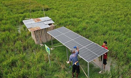 Penggunaan PLTS untuk Pompa Irigasi Pertanian di Kupang