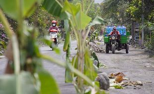 Protes Jalan Rusak, Warga Lumajang Tanam Pohon Pisang dan Pasang Ban Bekas