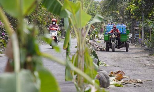 Protes Jalan Rusak, Warga Lumajang Tanam Pohon Pisang dan Pasang Ban Bekas