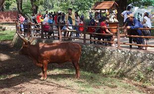 Asyiknya Liburan Sekolah di Solo Safari, Ada Wahana Bermain dan Edukasi Satwa