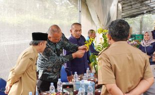 Melalui Anggrek, PLN Dukung Pertumbuhan Agrikultur di Kabupaten Magelang