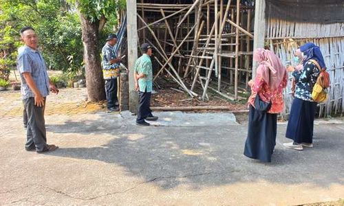 Diduga Flu Burung, Belasan Ekor Ayam di Jetis Delanggu Klaten Mati Mendadak