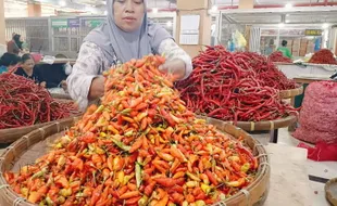 Harga Cabai Rawit Terus Naik, Pedagang Kuliner Berharap Tak Berlanjut