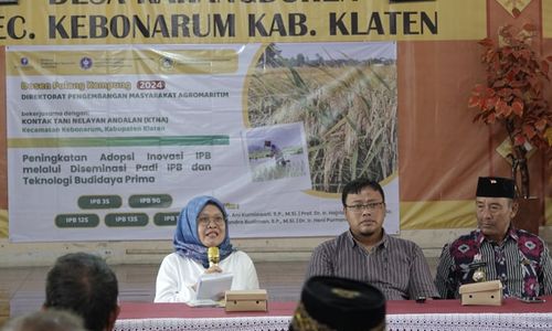 IPB Kenalkan Varietas Padi Unggul ke Petani Klaten saat Dosen Pulang Kampung