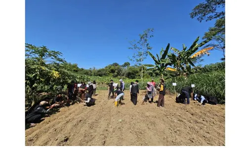 HM Pelita FP UNS Ajak Warga Desa Mundu Klaten Kembangkan Tanaman Pakan Ternak