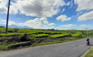 Bediding! Suhu Udara di Wonogiri Lebih Dingin saat Malam, Ini Penyebabnya