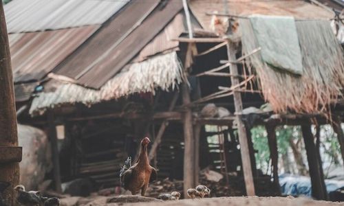 Penduduk Miskin di Karanganyar Berkurang, Segini Jumlahnya