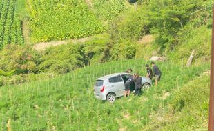 Sopir Fokus Lihat Persneling, Mobil Warga Solo Terjun ke Ladang di Boyolali