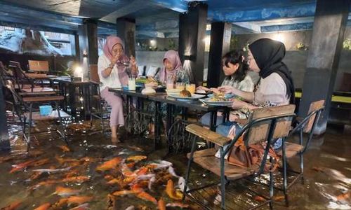 Mau Seru-seruan Makan Ditemani 1.001 Ikan Koi, di Polanharjo Klaten Ada Lho