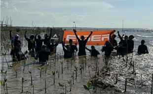 Eiger Adventure Lanjutkan Konservasi 10.000 Mangrove di Pesisir Karawang Utara