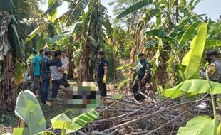 Terkuak, Ini Identitas Mayat Laki-laki di Kebun Pisang Polanharjo Klaten