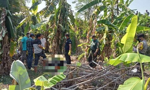 Terkuak, Ini Identitas Mayat Laki-laki di Kebun Pisang Polanharjo Klaten