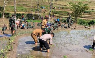 Perluas Area Tanam Padi saat Kemarau, 64 Pompa Disalurkan ke Petani Wonogiri