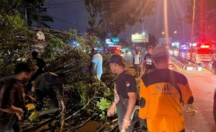 Diduga Dibakar, Pohon di Depan Goro Assalaam Kartasura Sukoharjo Tumbang 