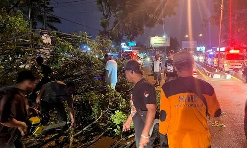 Diduga Dibakar, Pohon di Depan Goro Assalaam Kartasura Sukoharjo Tumbang 