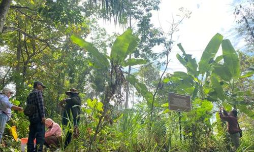 Pemilik Lahan Sebut Situs Candi Tampir Boyolali Kerap Jadi Sasaran Pencuri