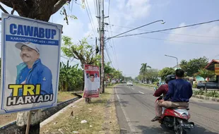 Bawaslu Karanganyar Minta Spanduk Cabup-Cawabup di Pohon Ditertibkan 