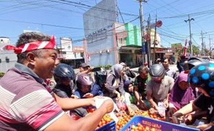 Harga Anjlok hingga Rp200/Kg, Petani di Jember Bagikan Tomat Gratis ke Warga