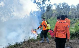 Penanjakan Gunung Bromo Kebakaran Lahap Edelweis hingga Ilalang