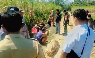 Genggam Sabit, Kakek 69 Tahun Ditemukan Meninggal di Lahan Tebu Magetan