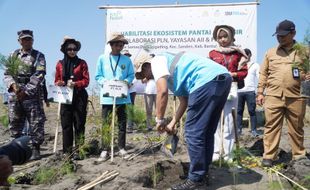 Jaga Kelestarian Lingkungan, PLN Tanam 2.500 Bibit Pohon di Pantai Samas