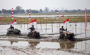 Seru! Puluhan Perserta Adu Cepat Lomba Balap Traktor Sawah di Indramayu