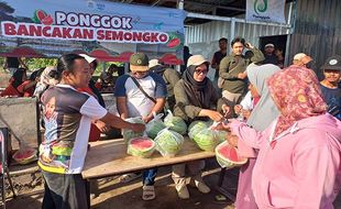 Pembagian 3 Ton Semangka Hasil Panen Perdana Ponggok Agro Techno Park Klaten