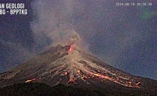 Hingga Selasa Siang, Guguran Lava Gunung Merapi Meluncur 42 kali Sejauh 1,6 km