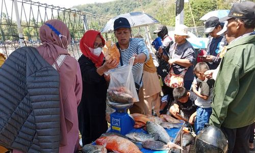 Kolam PLTA Timo Semarang Dikuras, Saatnya Warga Berburu Ikan Segar dan Murah