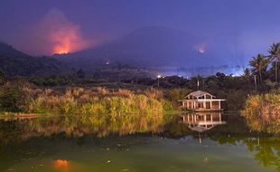 Kebakaran di Gunung Guntur Garut, Belasan Hektare Kawasan Hutan Hangus