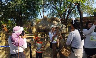 Potret Serunya Adu Kompak Peserta Safari Fun Walk Challenge 2024 di Solo Safari