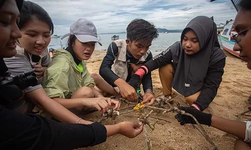 Transplantasi Terumbu Karang oleh Mahasiswa KKN PPM UGM di Pulau Bunaken