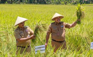 Pemprov Jateng Pacu Inovasi & Kolaborasi untuk Kedaulatan Pangan