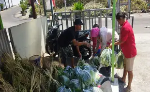 Gita Pertiwi dan Carefood Solo Borong 2,5 Ton Sayur untuk Dibagikan ke Pemulung