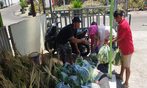 Gita Pertiwi dan Carefood Solo Borong 2,5 Ton Sayur untuk Dibagikan ke Pemulung